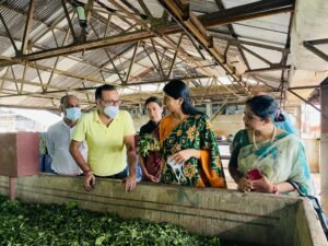 tea processing unit