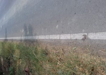 अव्यवस्था की शिकार हुईं अनुप्रिया पटेल के सलाहकार की मां