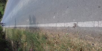 अव्यवस्था की शिकार हुईं अनुप्रिया पटेल के सलाहकार की मां