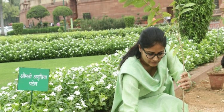 Plantation in Parliament house by Anupriya Patel