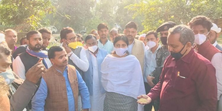 धान खरीद