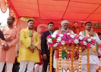 स्वतंत्रदेव सिंह