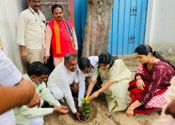 पौधारोपण