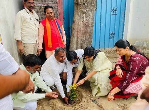 पौधारोपण