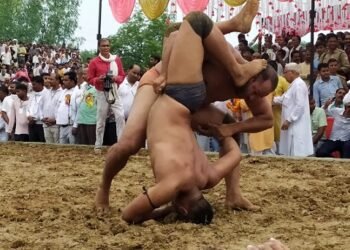 कुश्ती, अमौली