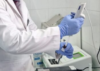 सीएचसी हाथी