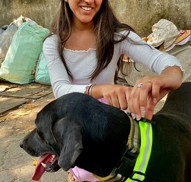 अवारा कुत्ते