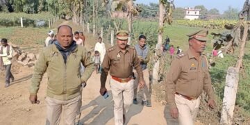 जंगली जानवर