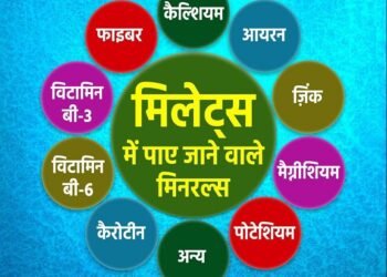 मोटा अनाज