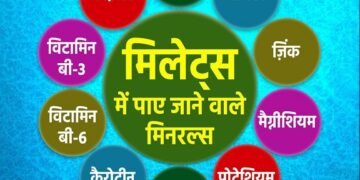 मोटा अनाज