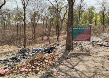 स्लेटी चट्‌टानें