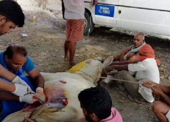 एंबुलेंस