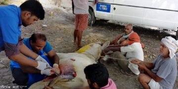 एंबुलेंस