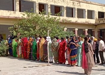 निकाय चुनाव