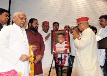 शारदा नंद अंचल