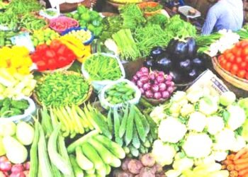 होली में लगा महंगाई का तड़का,  महंगी सब्जियों से जनता बेहाल