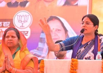 यूपीए की सरकार में होता था रोजाना घोटाला : अनुप्रिया पटेल