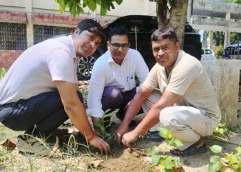 एक पेड़ माँ के नाम: राजकीय पॉलीटेक्निक में हुआ पौधारोपण
