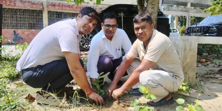 एक पेड़ माँ के नाम: राजकीय पॉलीटेक्निक में हुआ पौधारोपण