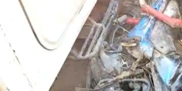 बेल्थरा रोड: सड़क दुर्घटना में माँ बेटे की मौत, ग्रामीणों ने पिकअप चालक को पीटा