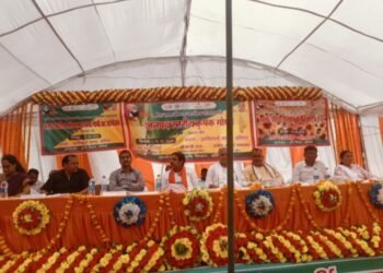 बलिया के सत्तू पर सरकार का ध्यान, चने की खेती पर जोर दें किसान