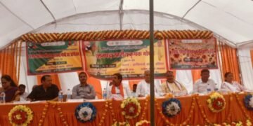 बलिया के सत्तू पर सरकार का ध्यान, चने की खेती पर जोर दें किसान