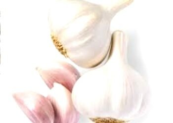 लहसुन की खेती के लिए 40 फीसदी अनुदान देगी योगी सरकार