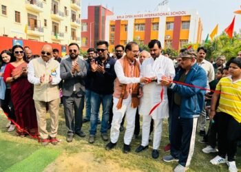 क्रिकेट