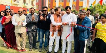 क्रिकेट