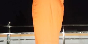 भूमि विवाद की वजह से नहीं हुआ सरदार पटेल की प्रतिमा का अनावरण