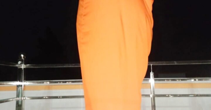 भूमि विवाद की वजह से नहीं हुआ सरदार पटेल की प्रतिमा का अनावरण