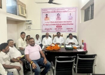 नगर निकाय